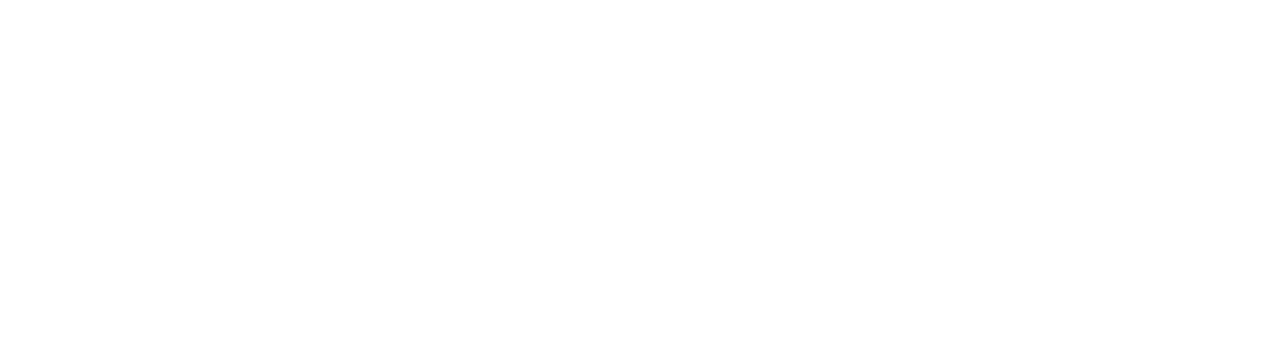 Despacho Jurídico en Puebla Navarrete Borboa y Asociados Abogados Especialistas Logo Letra Head rec transp Blanco