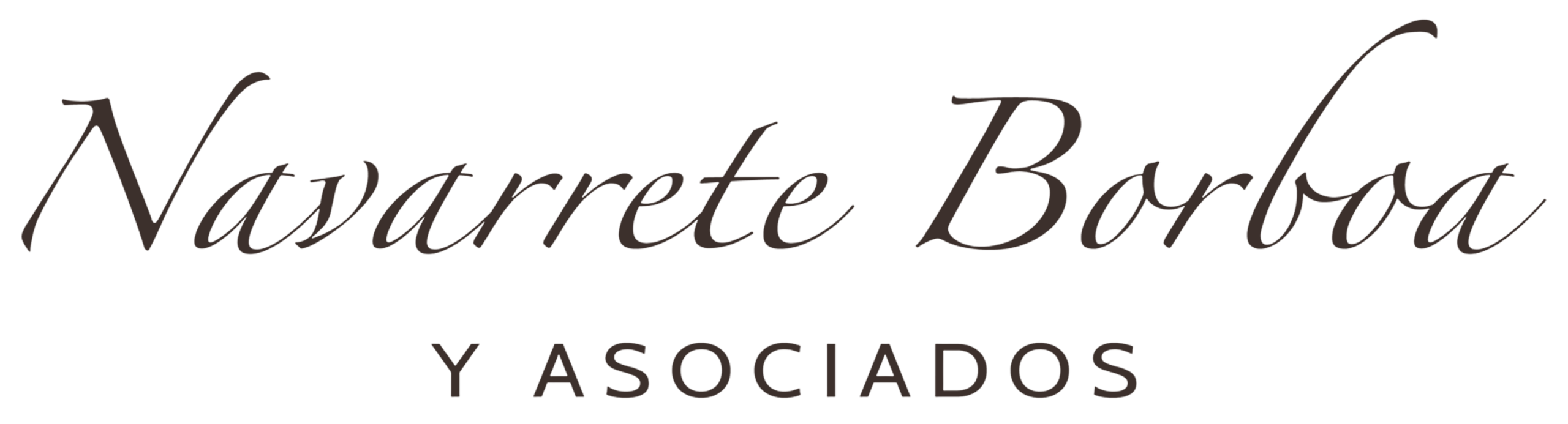 Despacho Jurídico en Puebla Navarrete Borboa y Asociados Abogados Especialistas Logo Letra Head rec transp Cafe